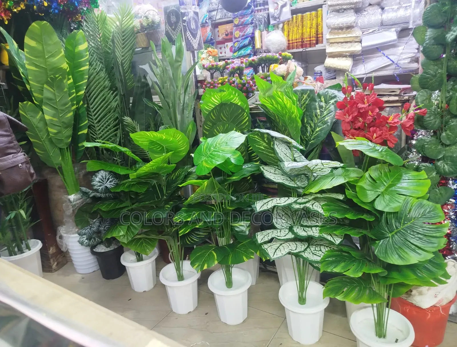 Long Plants With Vases Instock