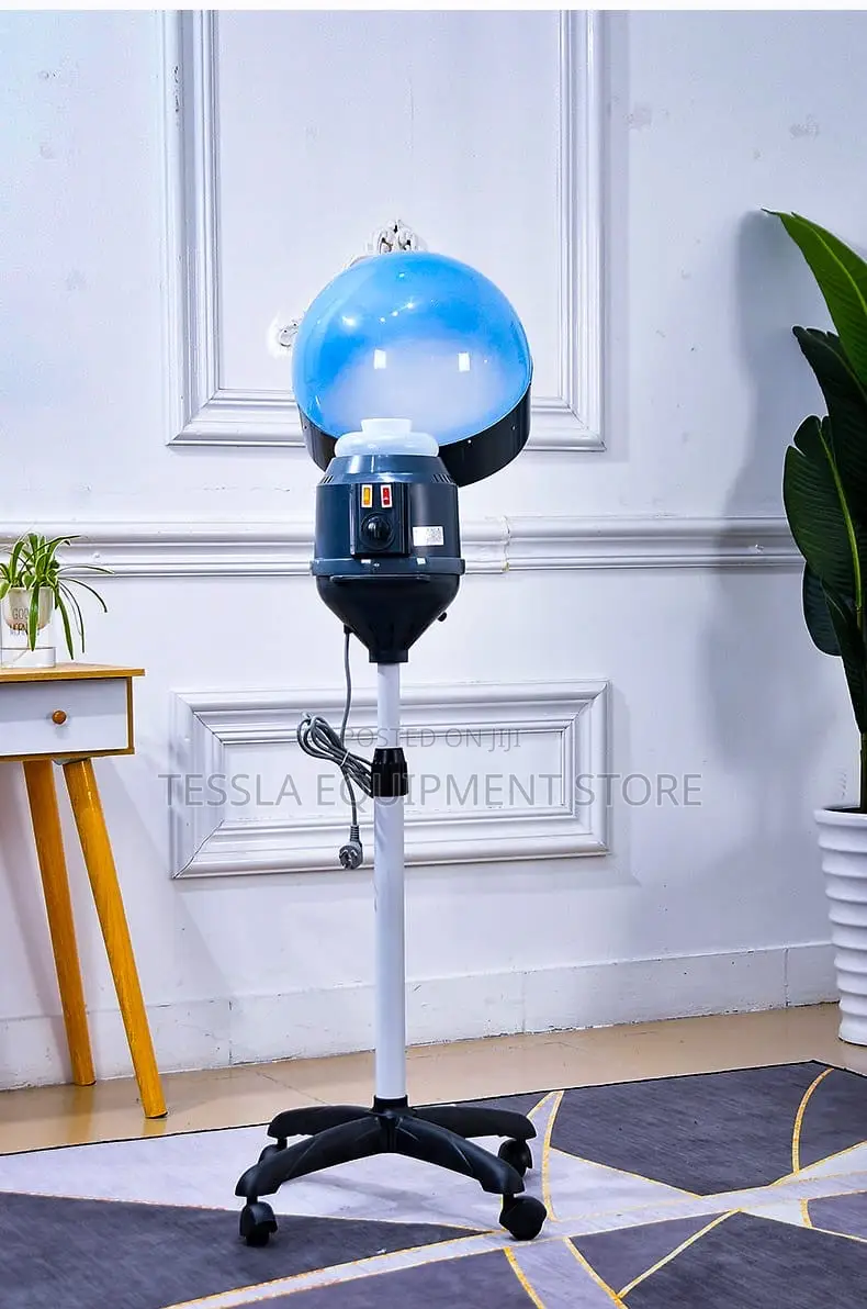 Hair Steamer