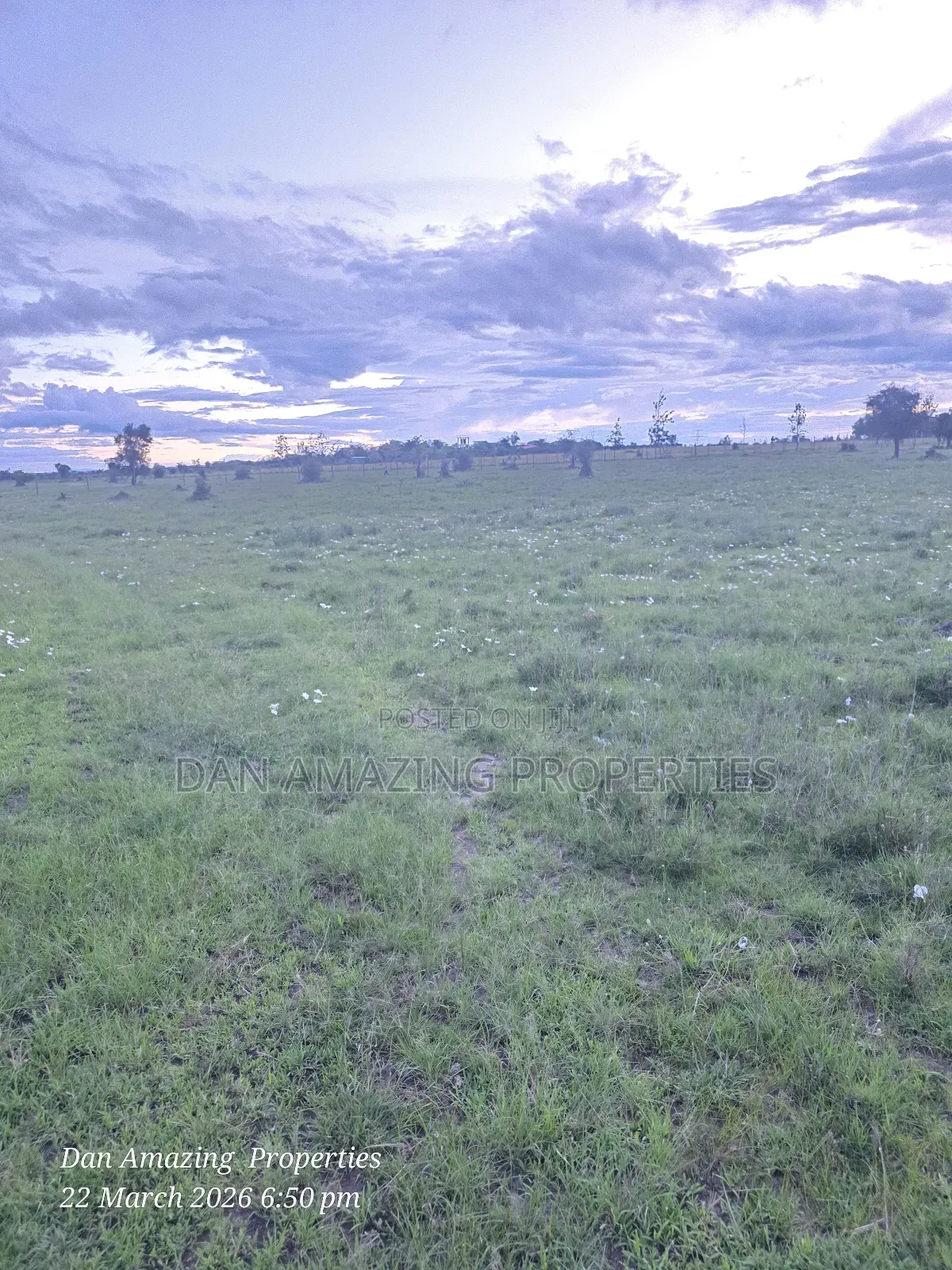 48 Acres Piece of Land Isinya for Sale 650mts From the Tarmac