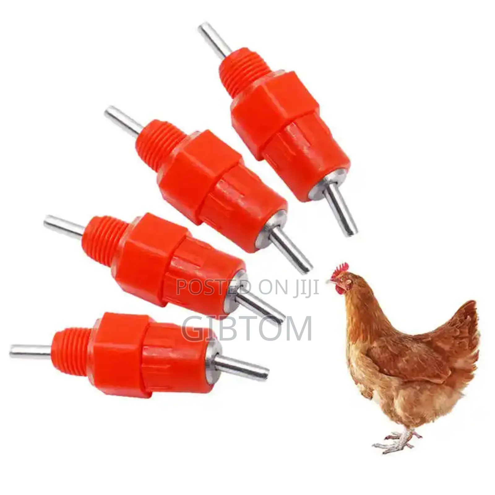 Chicken Nipples