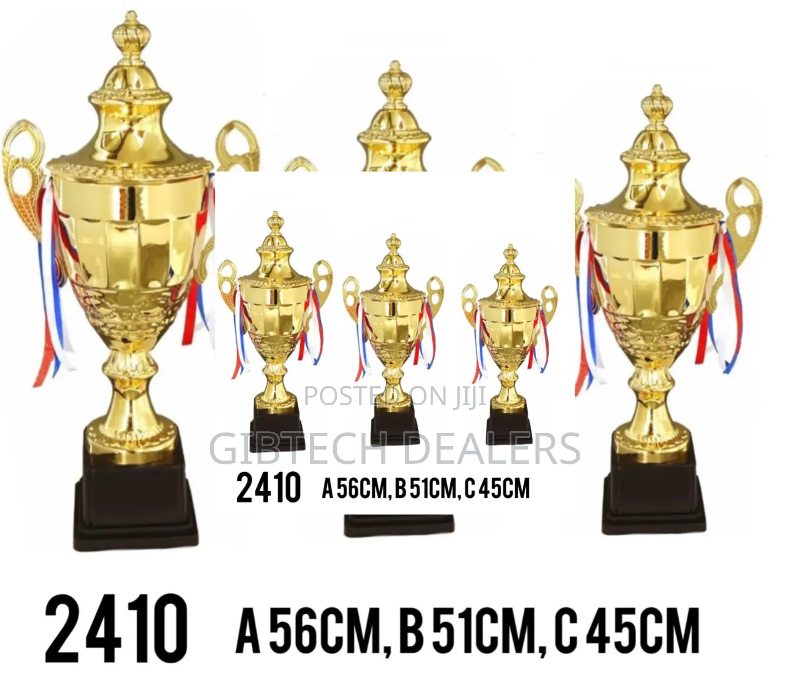 Medium Size 51cm 2410 Trophy