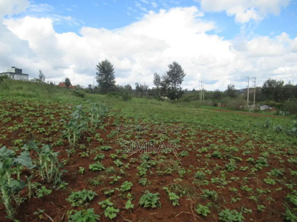 4.5 Acres of Land for Sale in Kibiko, Ngong