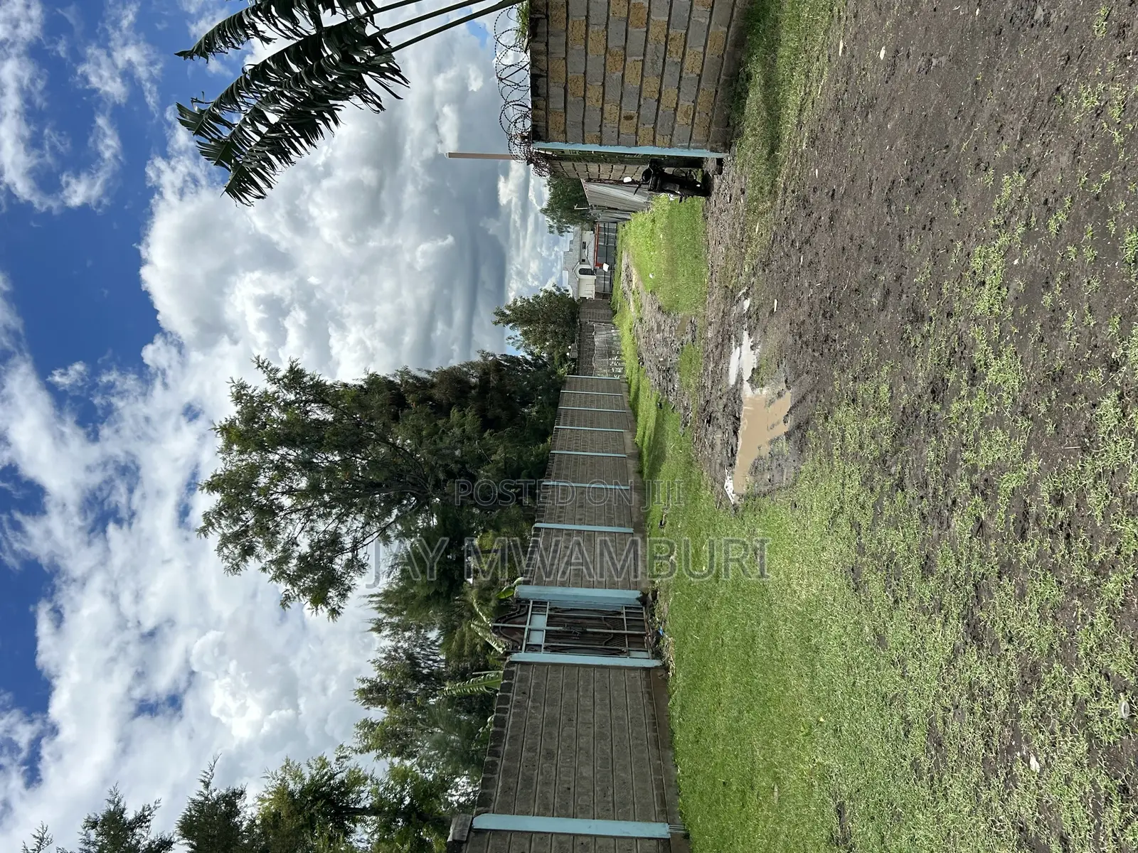 50 By100 Korompoi Kite