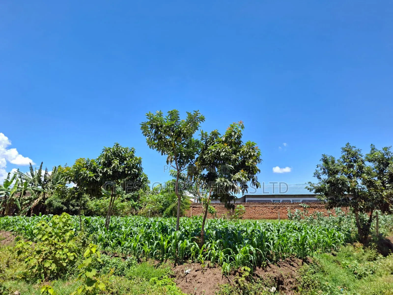 2 Commercial Plots for Sale in Mashambani Area Bungoma Town