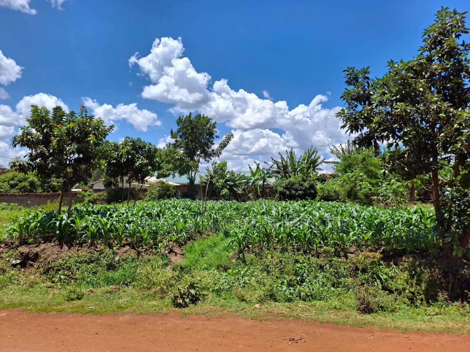 2 Commercial Plots for Sale in Mashambani Area Bungoma Town