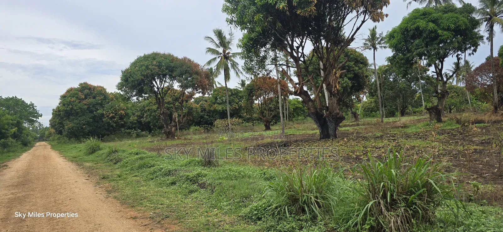 Prime 6-Acre Land for Sale - Kikambala