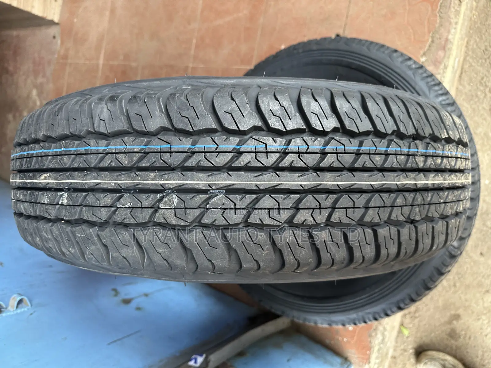 225/70r17 Dunlop Tires At20