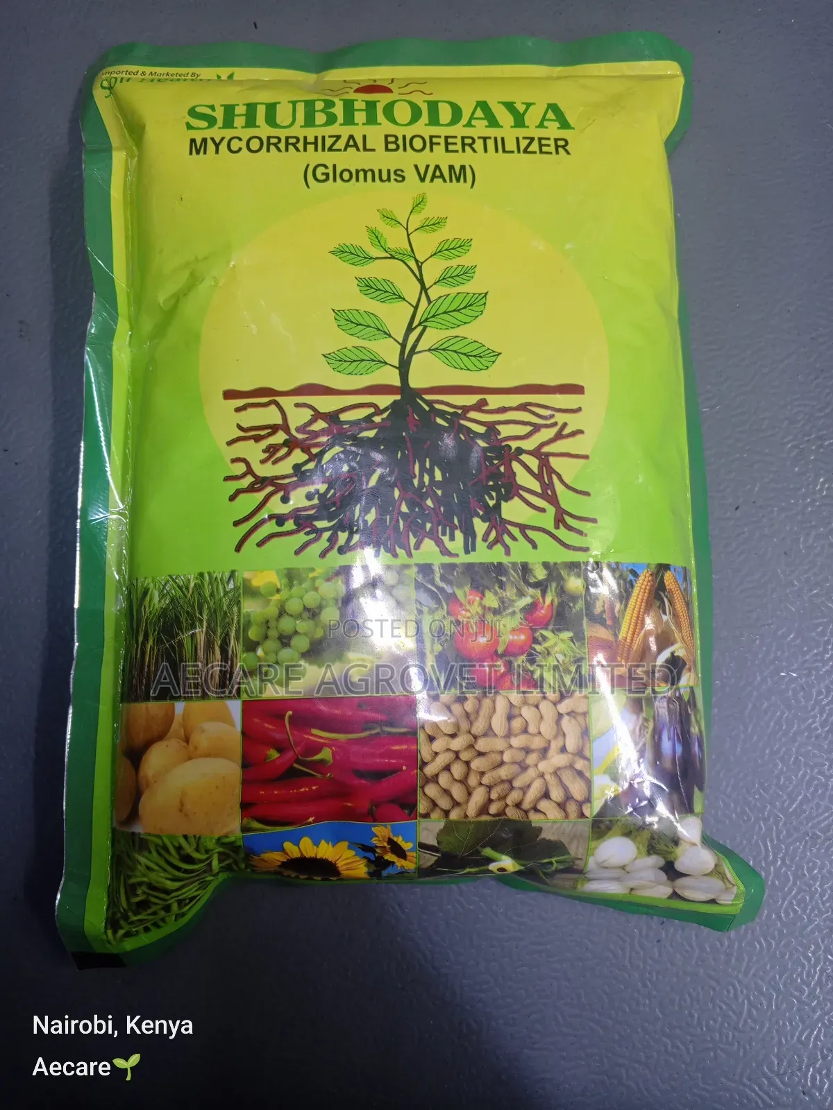 Shubhodaya Mycorrhizal Bio Fertilizer (Glomus Vam) 1kg
