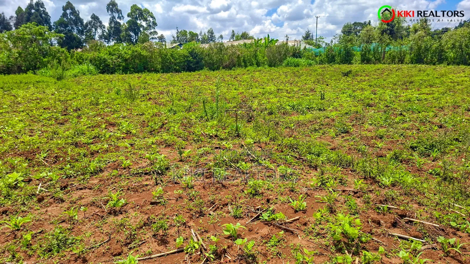 Kikuyu Plots for Sale