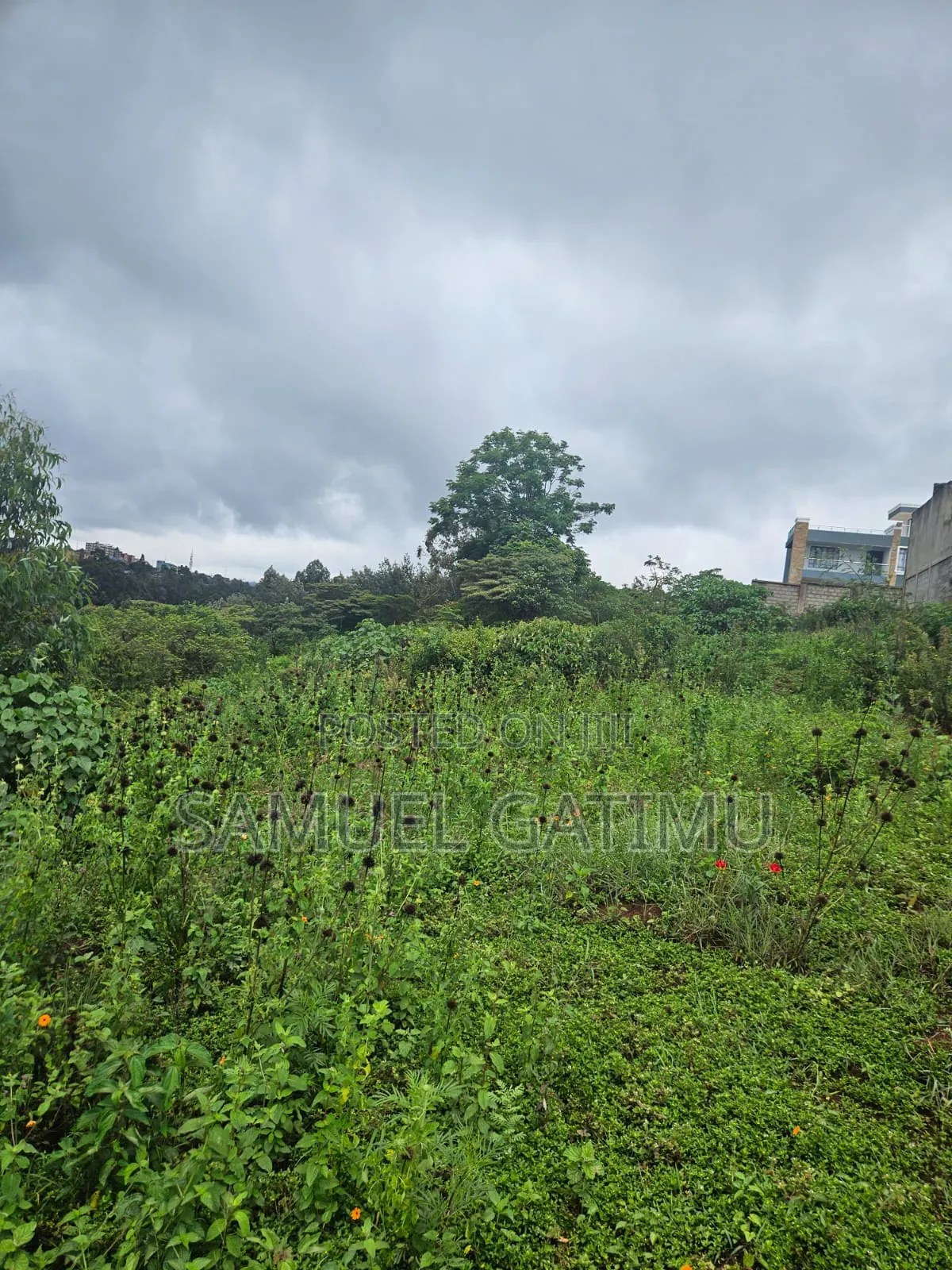 Njoro Ngewa Road 50/100 Plot for Sale