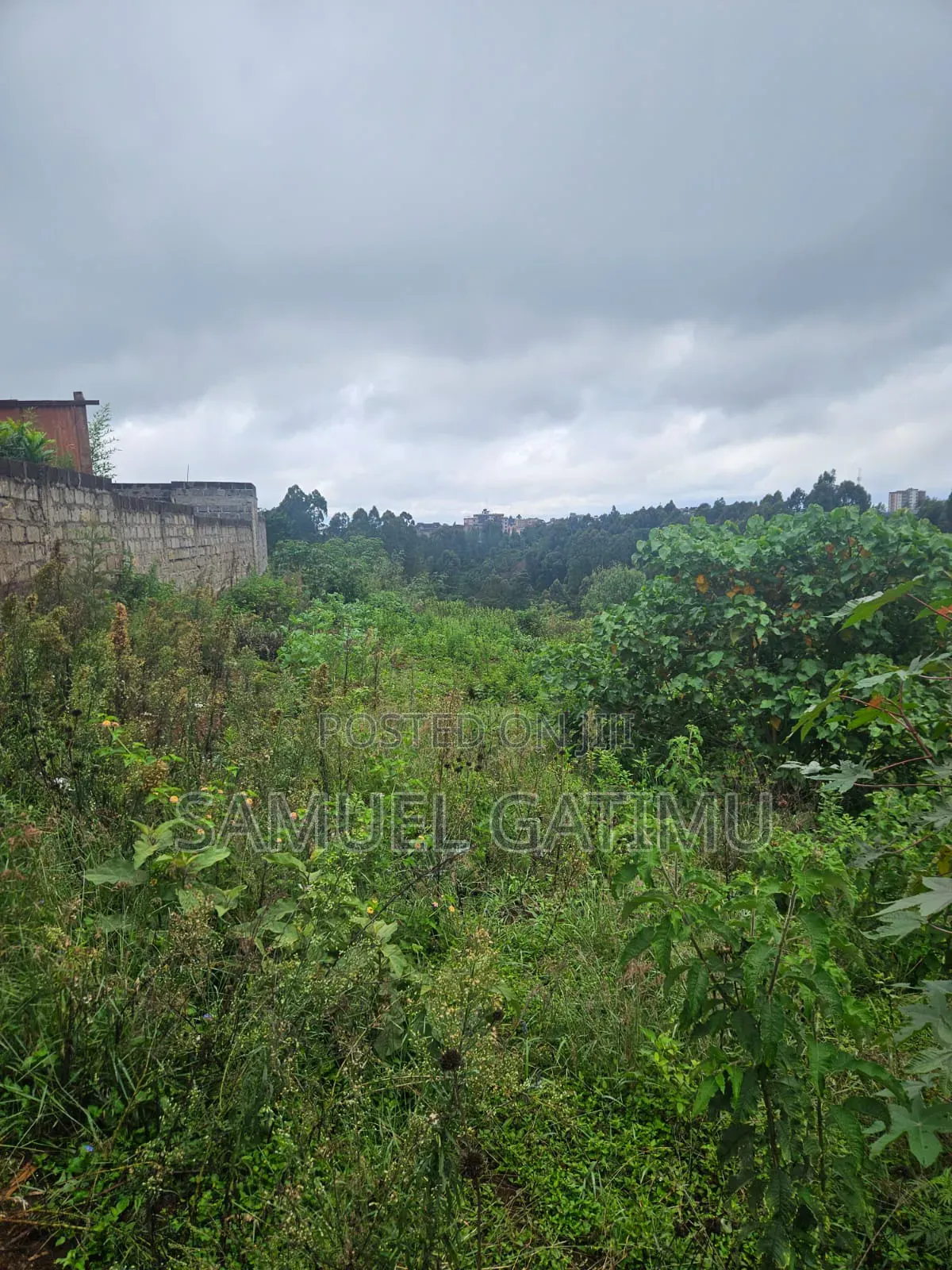 Njoro Ngewa Road 50/100 Plot for Sale