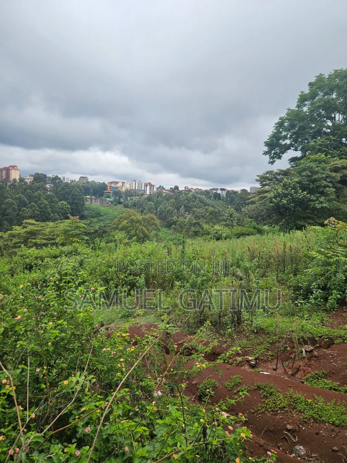 Njoro Ngewa Road 50/100 Plot for Sale