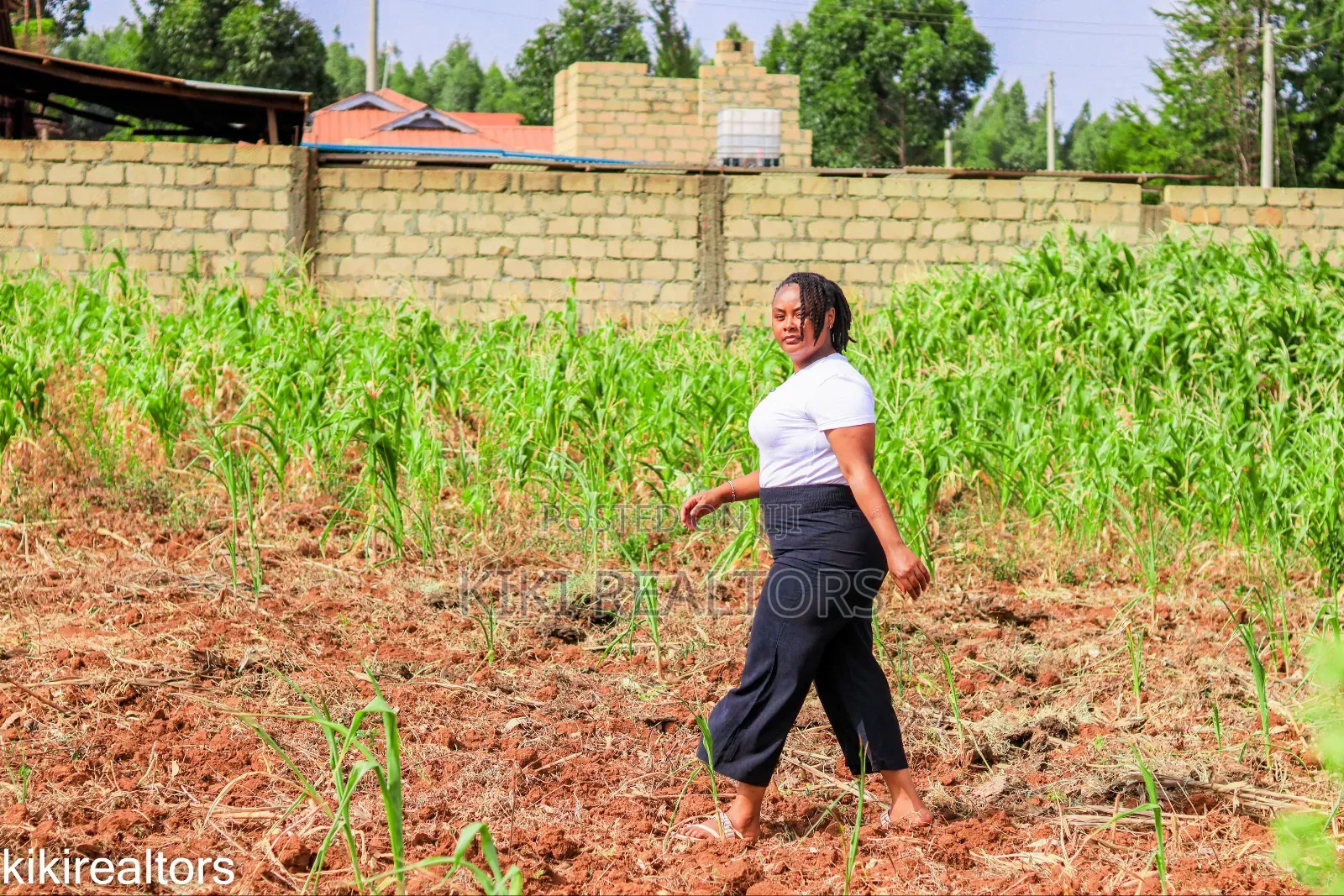 Kikuyu Sigona Plots in Kerwa