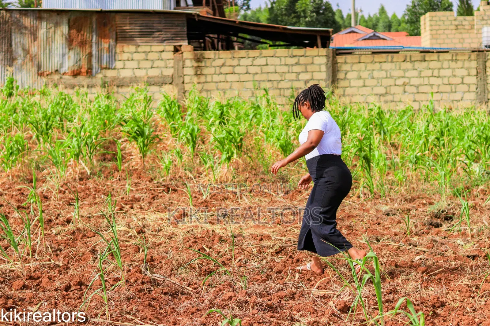Kikuyu Sigona Plots in Kerwa
