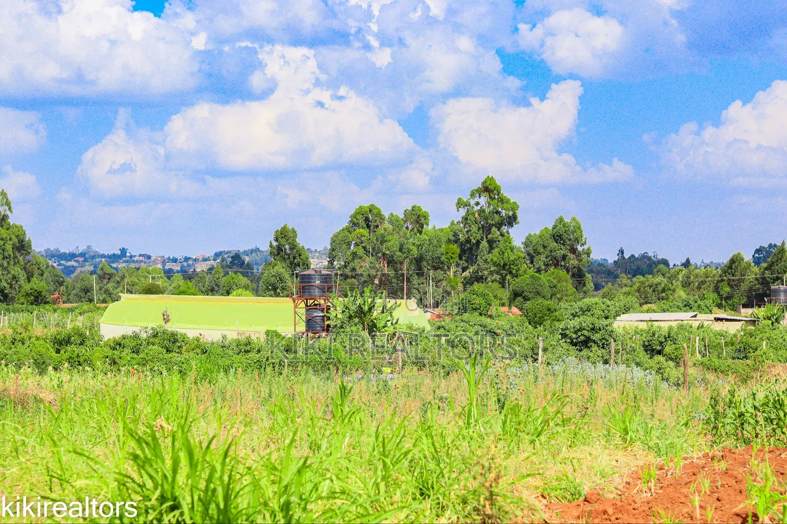 Kikuyu Sigona Plots in Kerwa