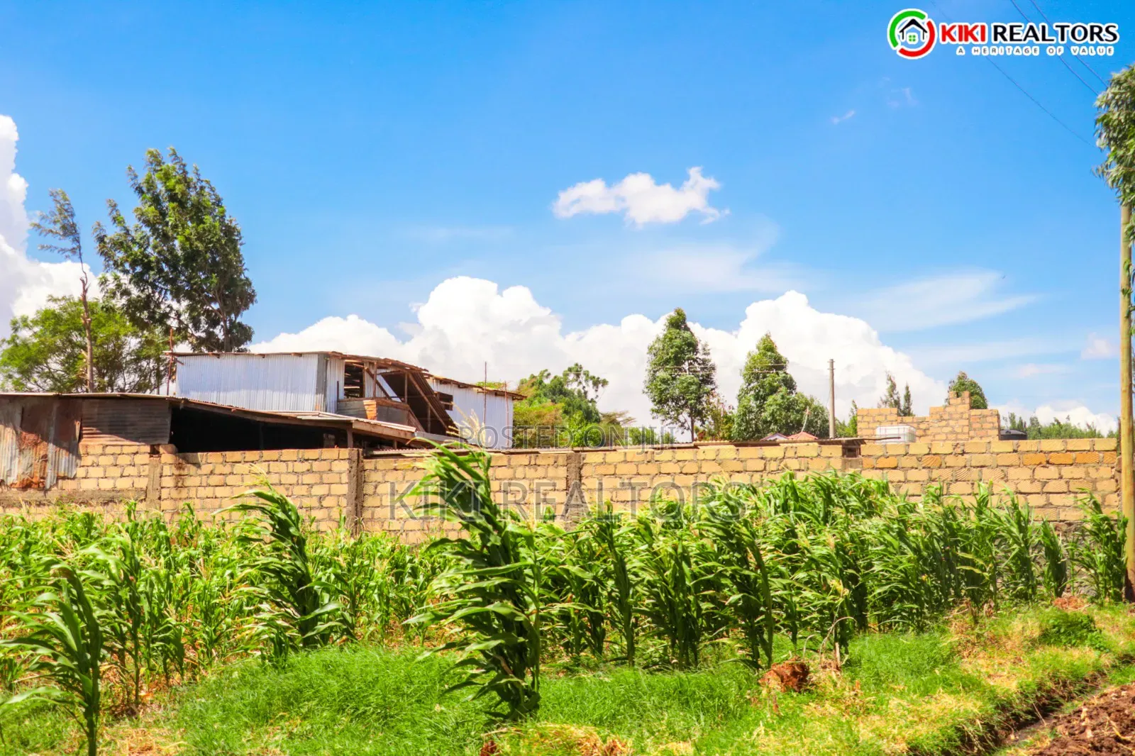 Kikuyu Sigona Plots in Kerwa