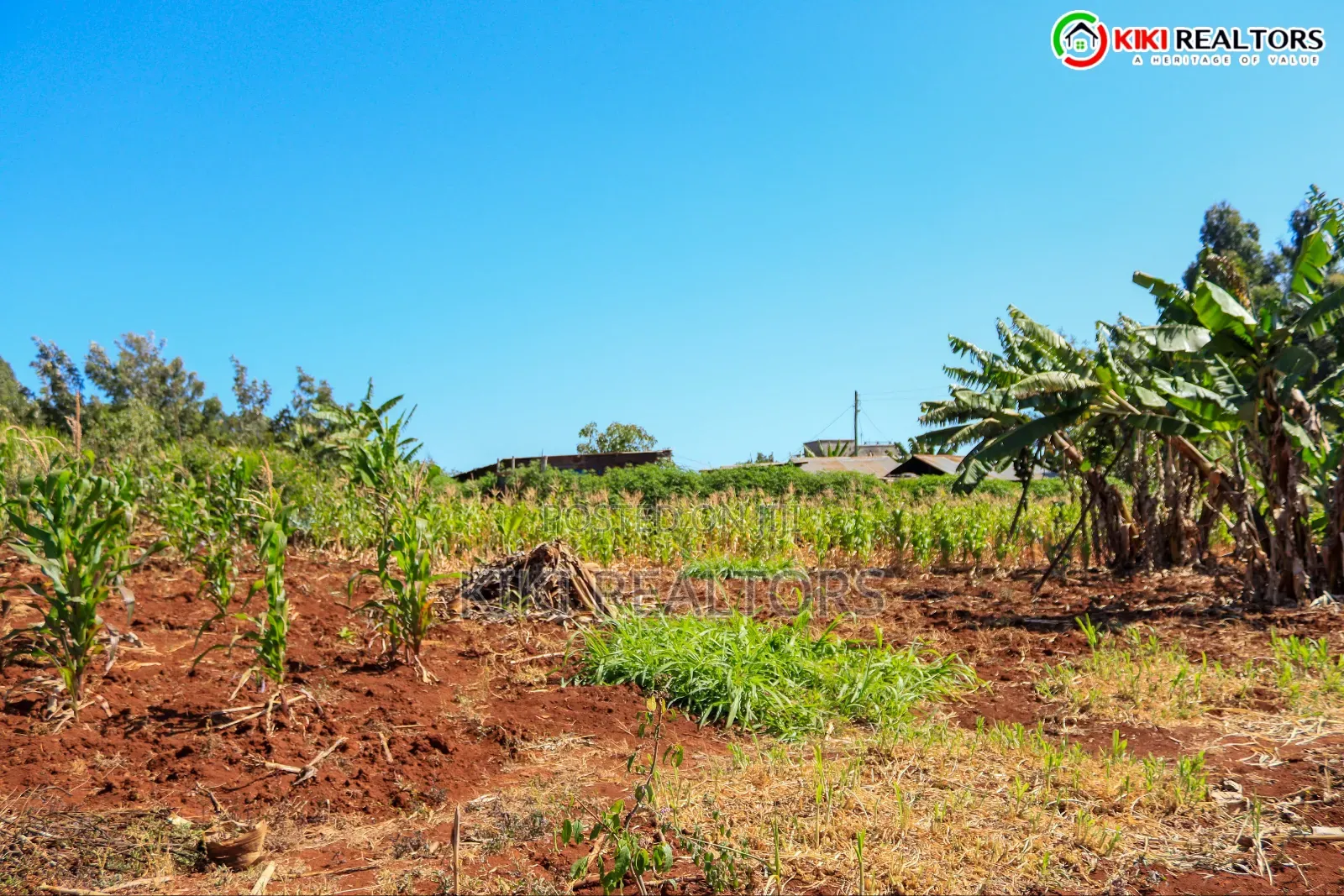 Kikuyu Sigona Prime Plots (Kerwa)
