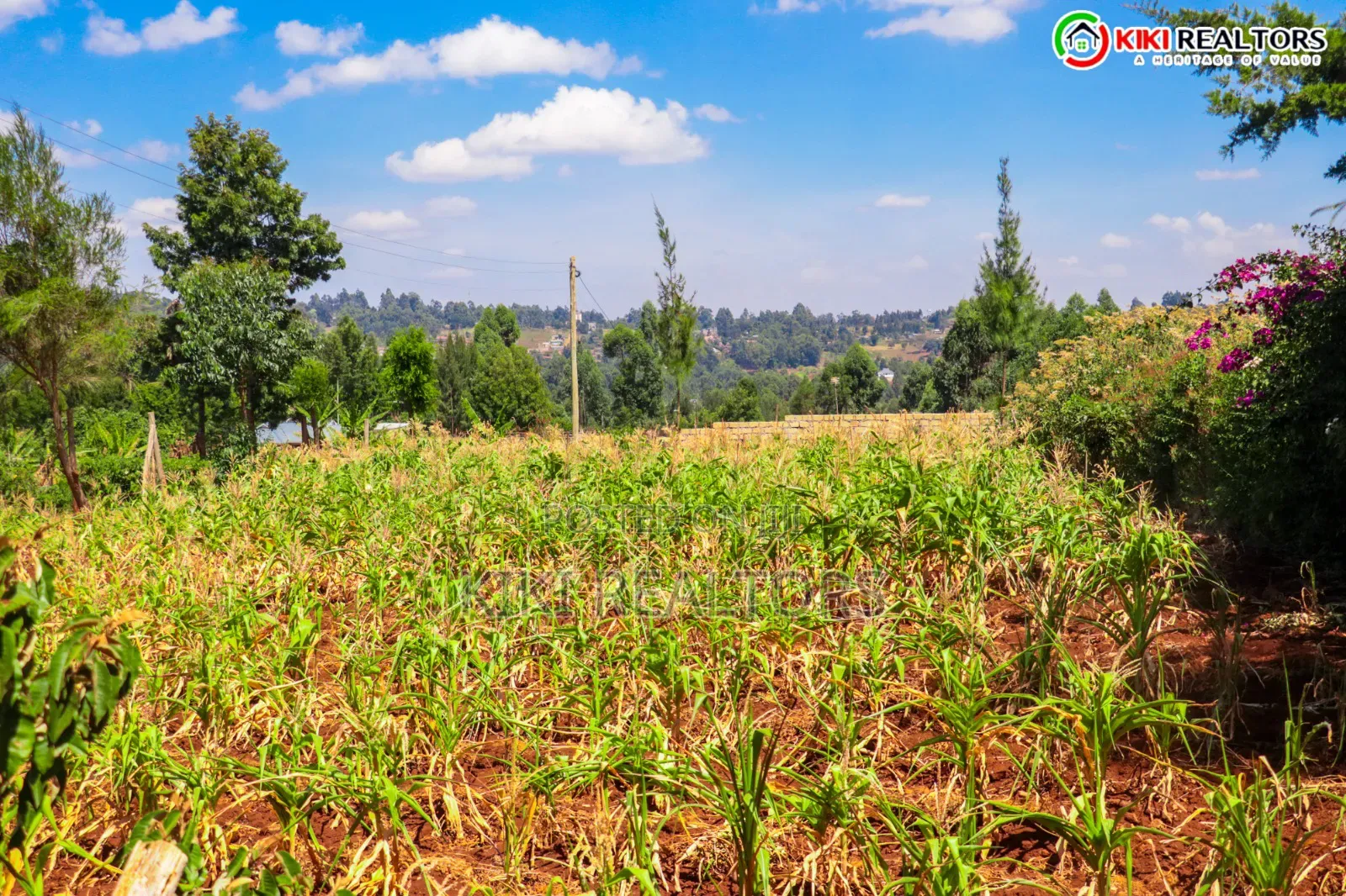 Kikuyu Sigona Prime Plots (Kerwa)