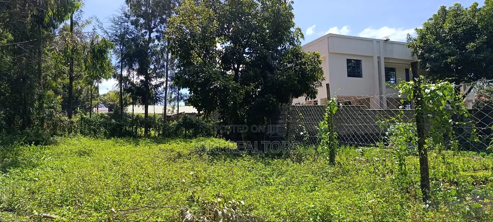 Kikuyu Prme Plots in Sigona Ward(Thamanda)