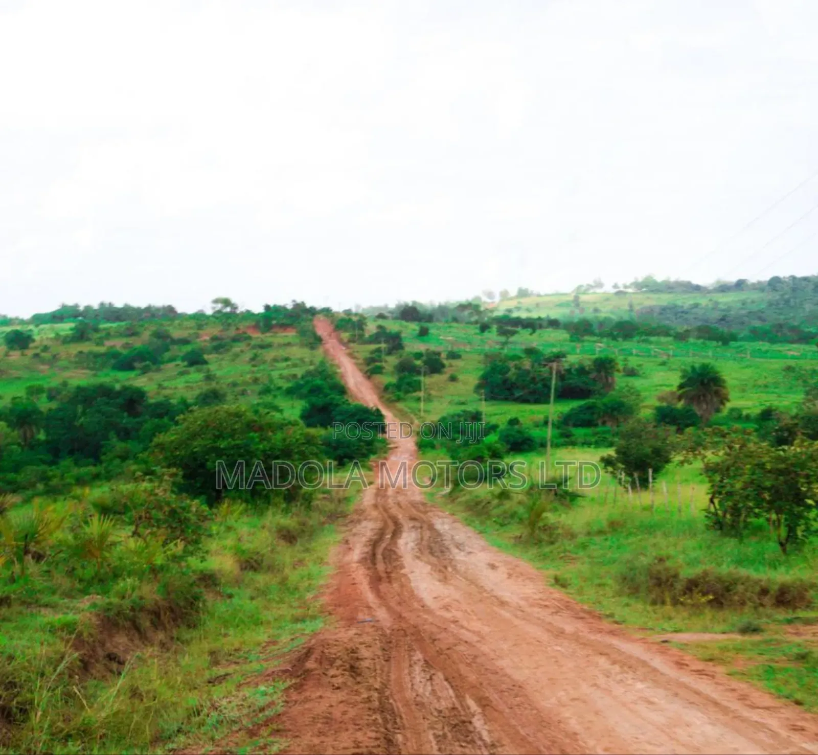 Fertile Farm for Sale in Shimba Hills