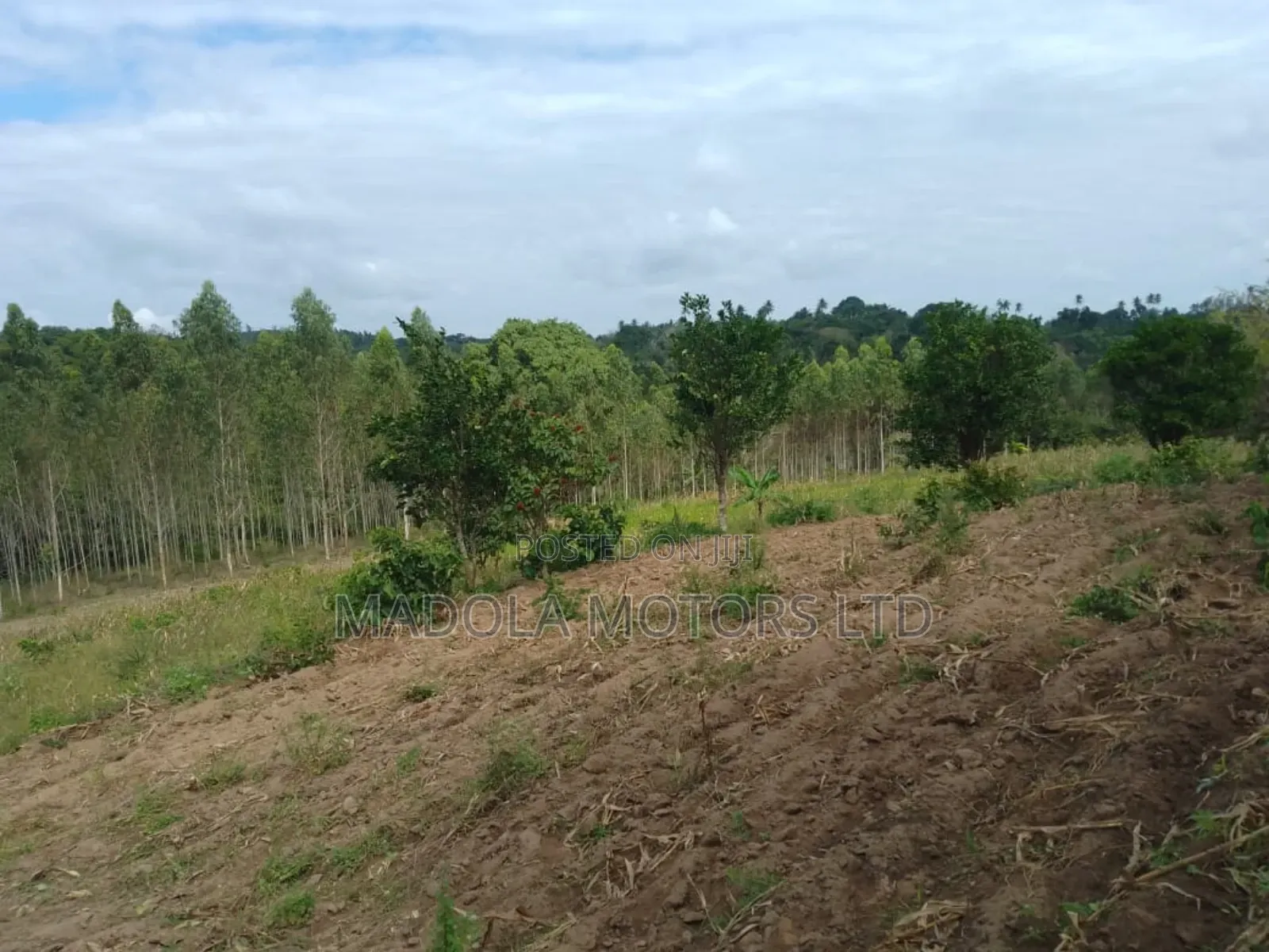 Fertile Farm for Sale in Shimba Hills