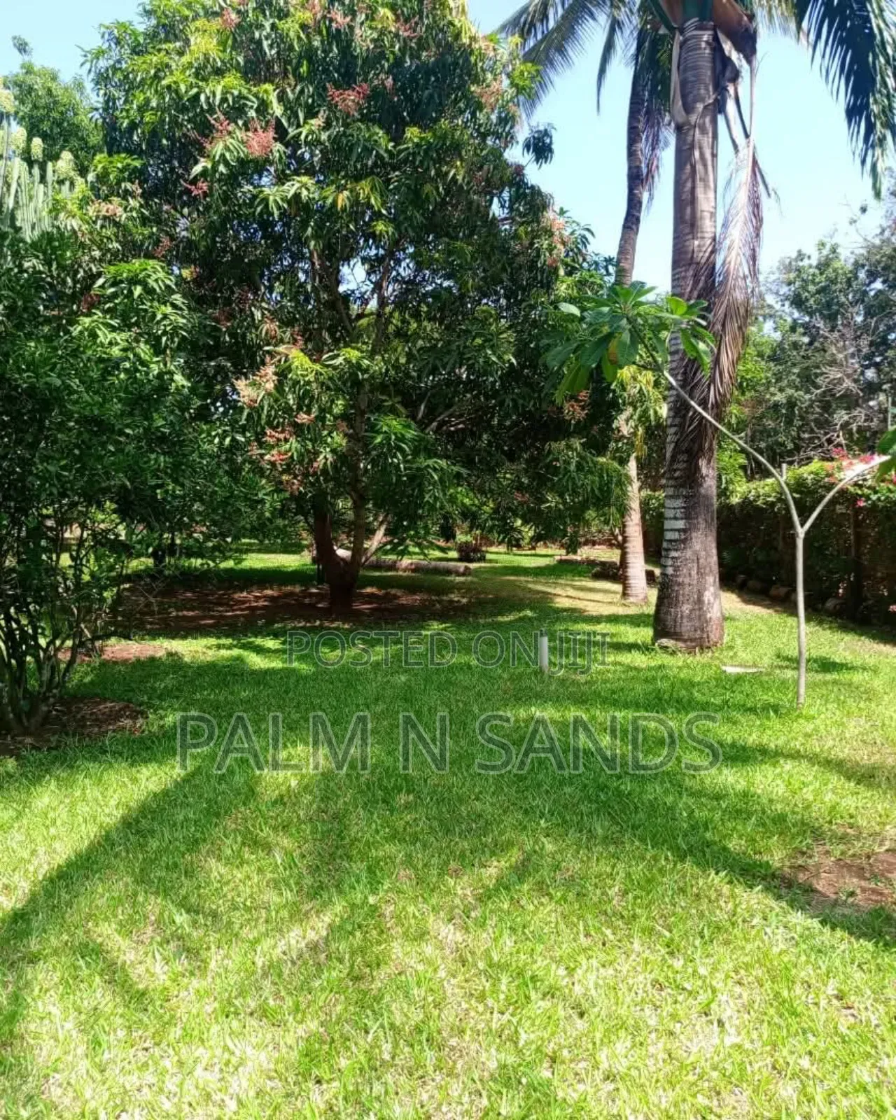 3bdrm House in Neptune, Diani for sale