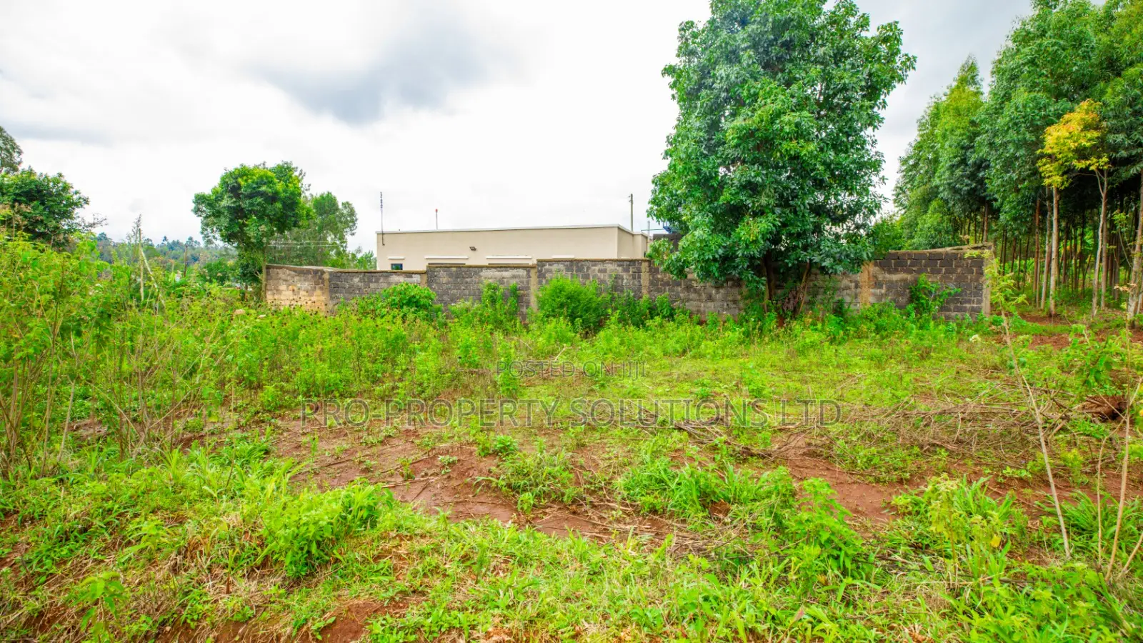 Prime Residential Plot for Sale in Kikuyu, Gikambura - Jambu Tv