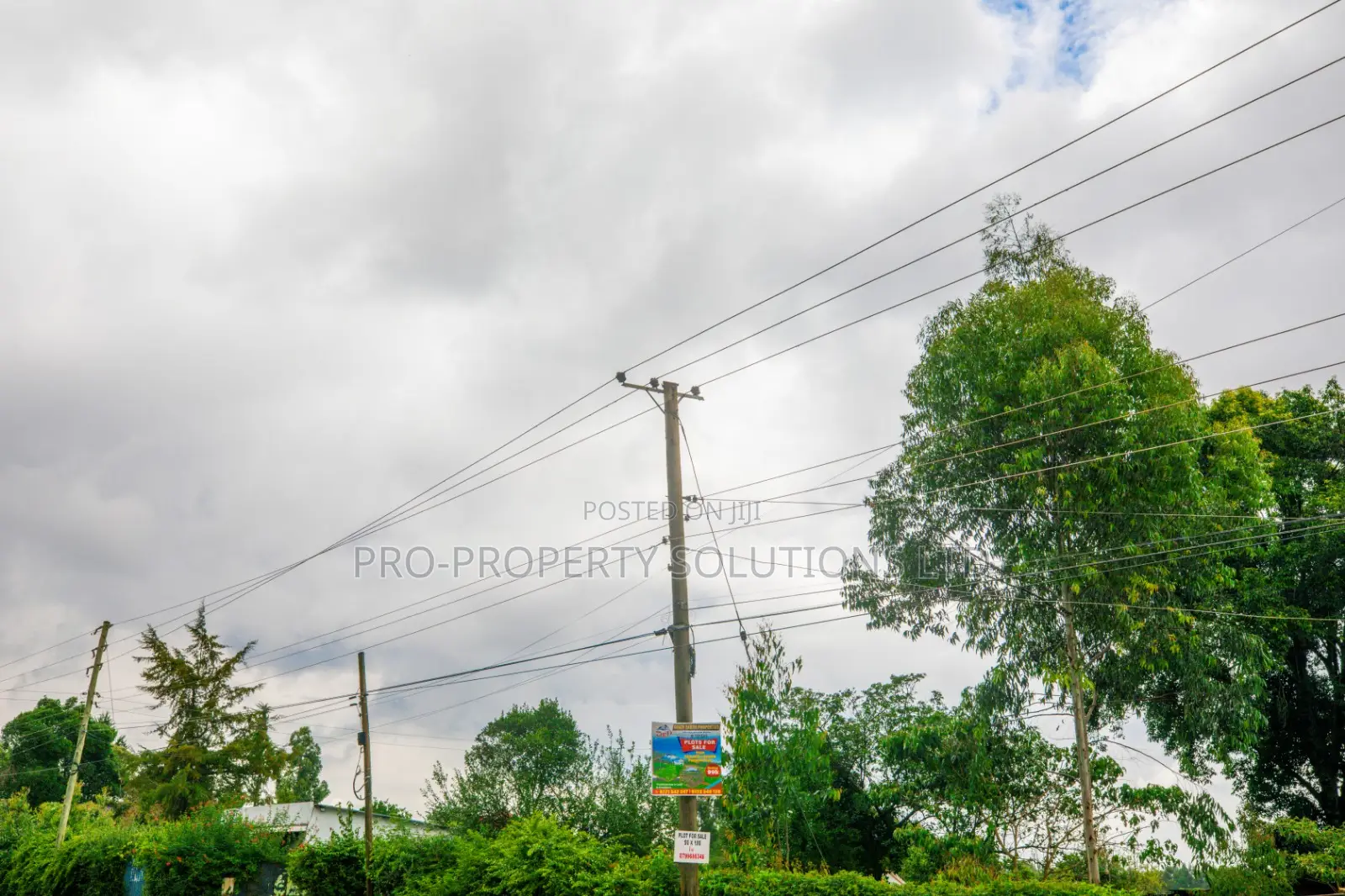 Prime Residential Plot for Sale in Kikuyu, Gikambura - Jambu Tv