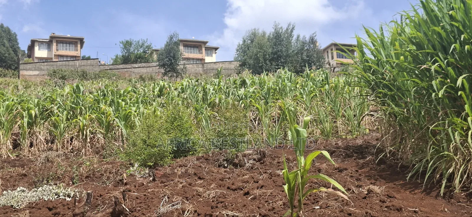 2.5 Acres Available Land for Sale in Kikuyu Muguga