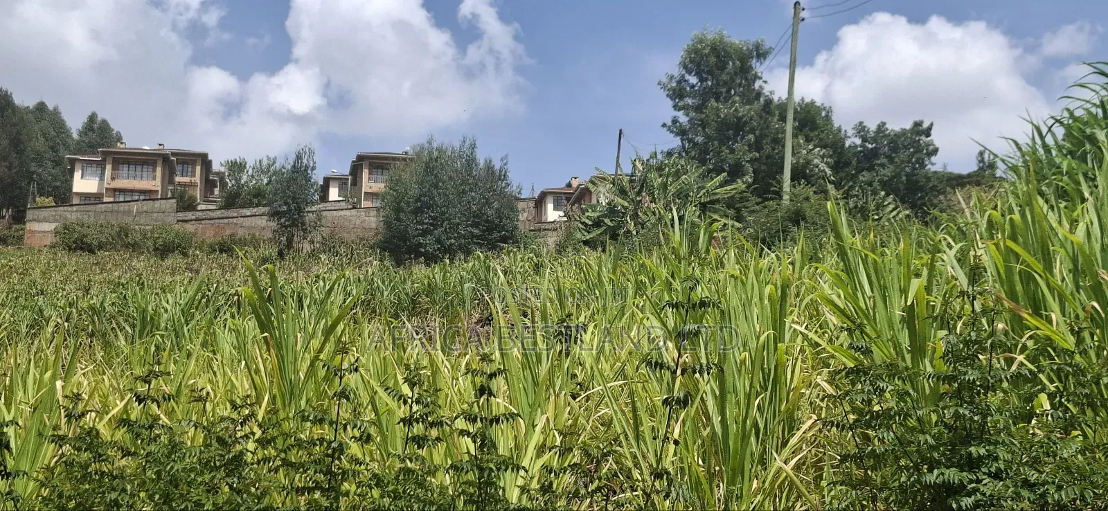 2.5 Acres Available Land for Sale in Kikuyu Muguga