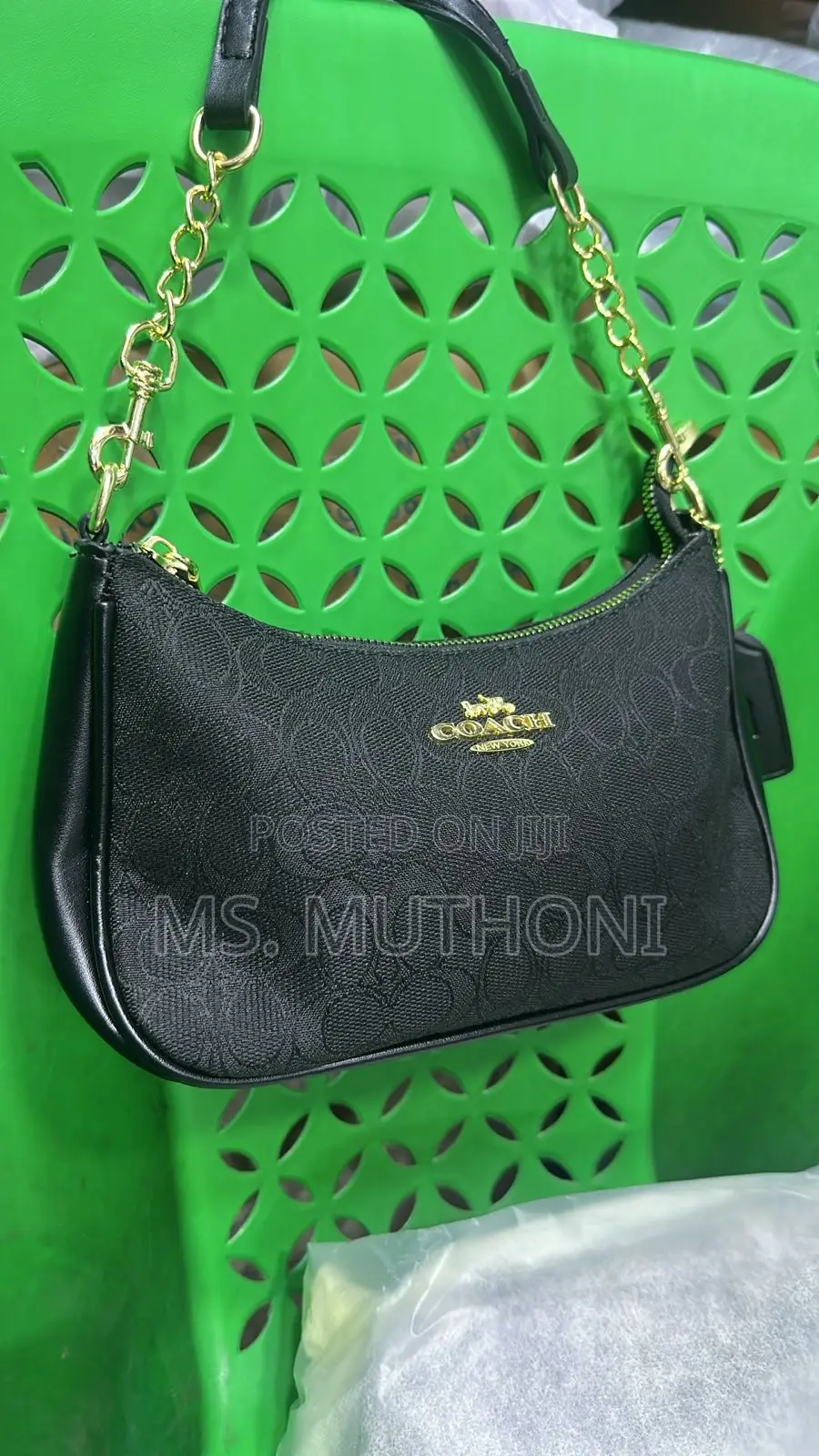 New !! Leopard Print Coach Teri