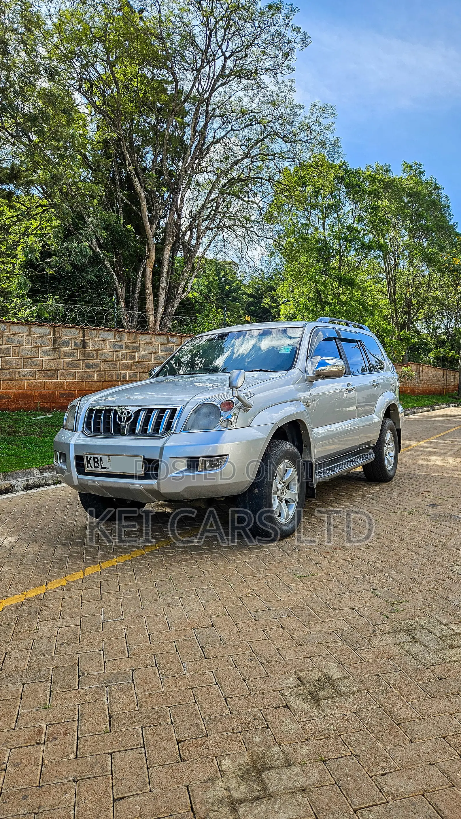Toyota Land Cruiser 2003 Silver