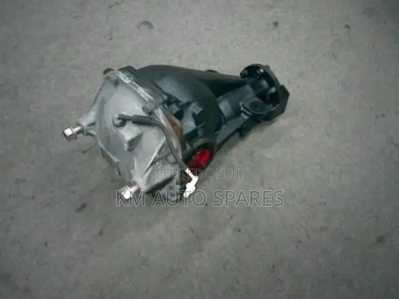 Mitsubishi Pajero Rear Differential
