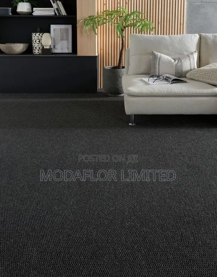 Charcoal Grey Wall To Wall Carpet – Best For Homes And Office