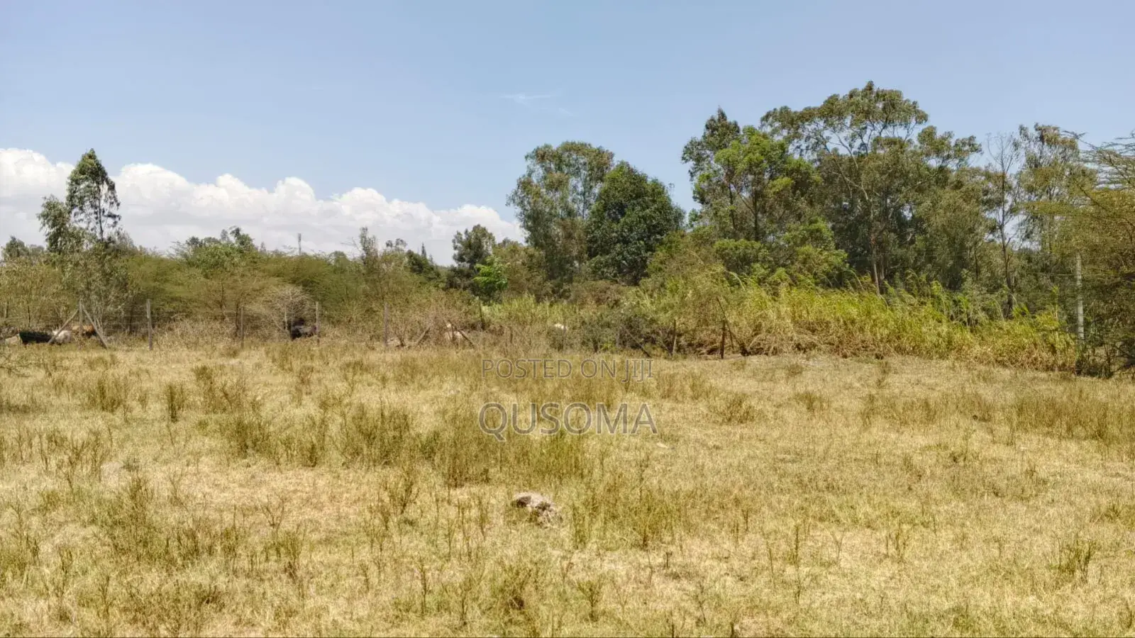 Limited Opportunity: Prime 1⁄4 Acre Fenced Plot in Korompoi !
