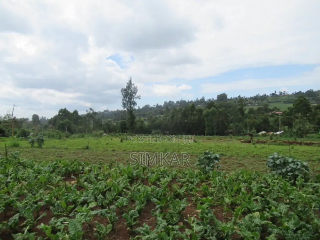 3.25 Acres of Land for Sale in Ruku, Wangige