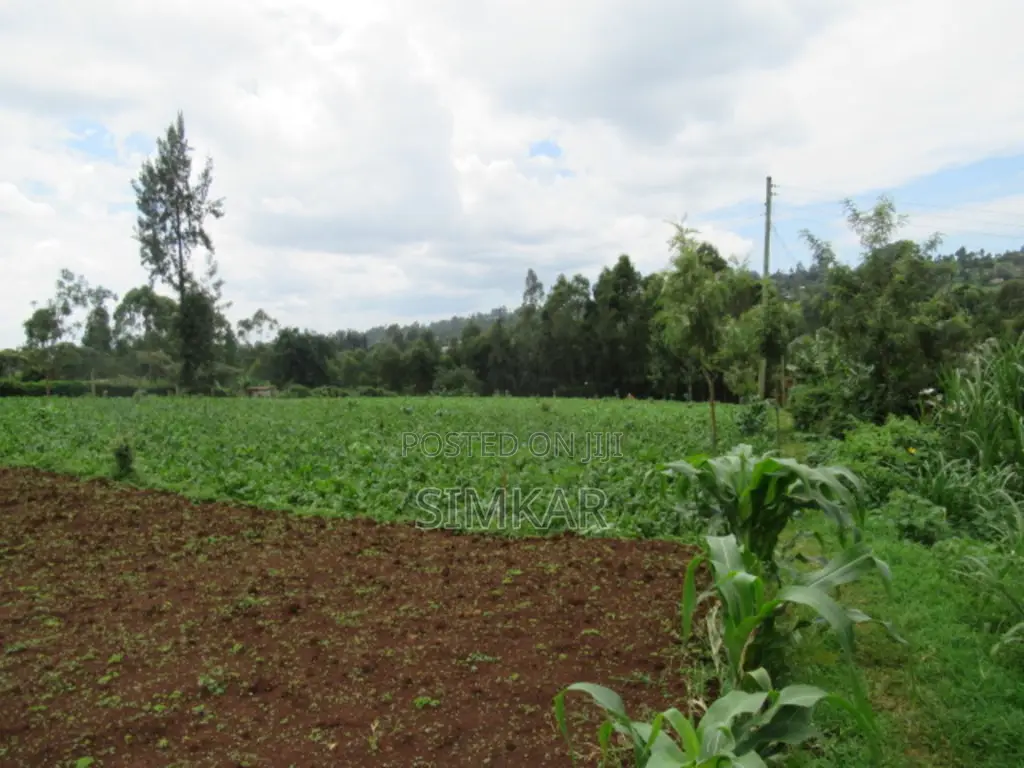 3.25 Acres of Land for Sale in Ruku, Wangige