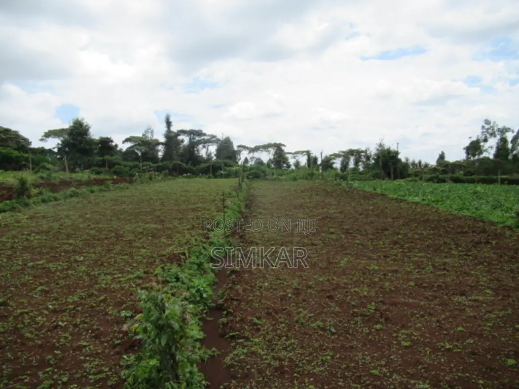 3.25 Acres of Land for Sale in Ruku, Wangige