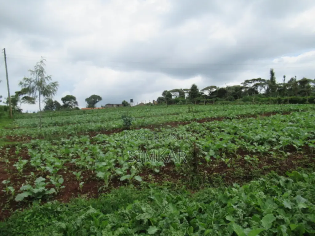 3.25 Acres of Land for Sale in Ruku, Wangige