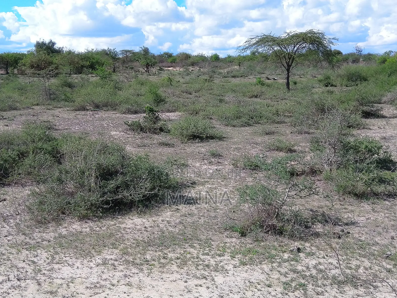 Quick Sale! 1acre in Konza