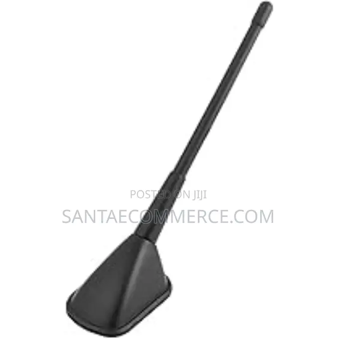Decorative Car Antenna
