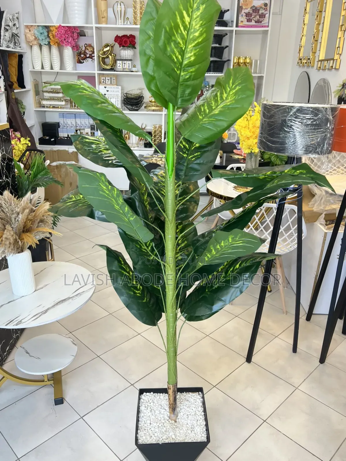 Artificial Dum Plant.