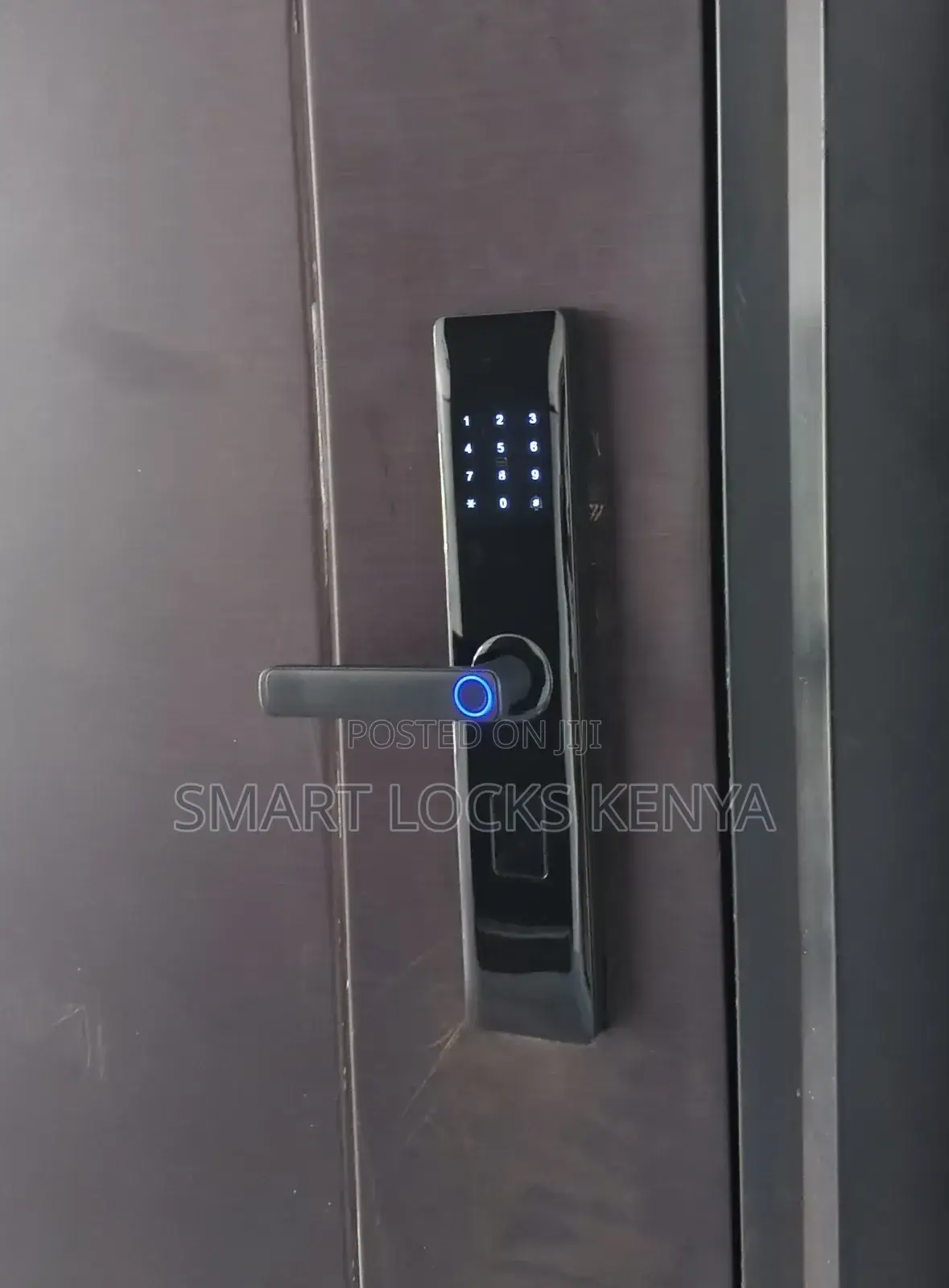 Biometric Wifi Smart Door Smart Door Lock