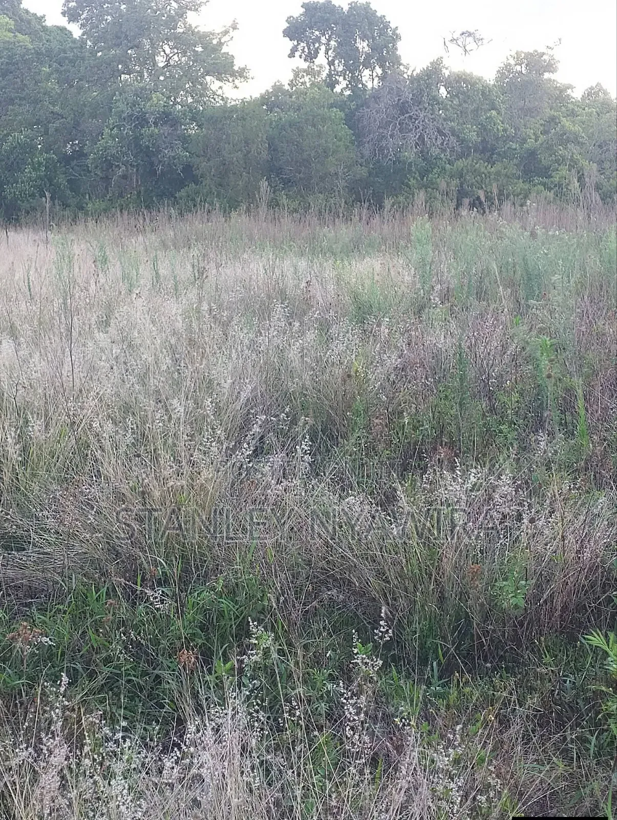 10 Acres Nanyuki Daiga Fronting River