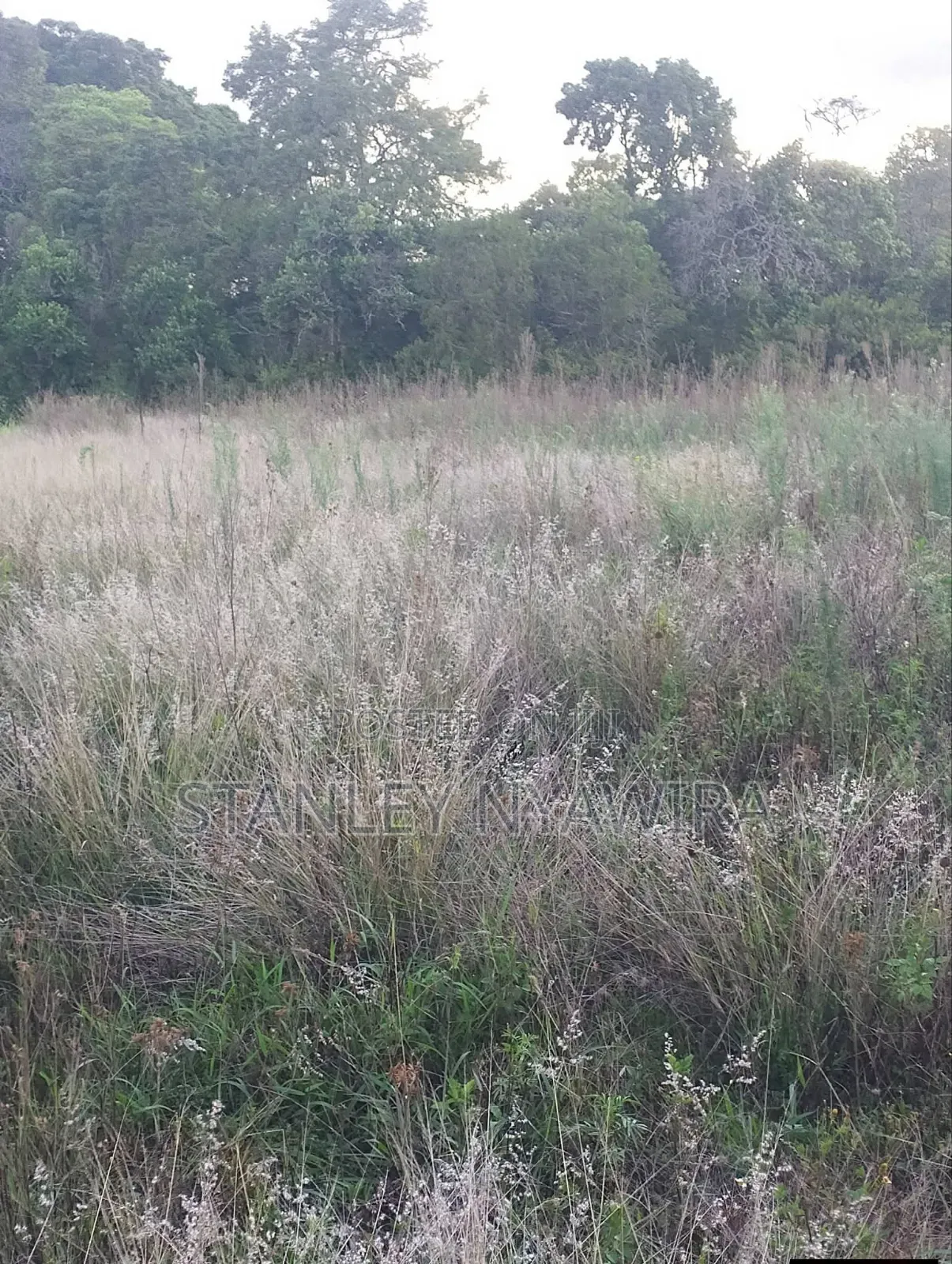 10 Acres Nanyuki Daiga Fronting River