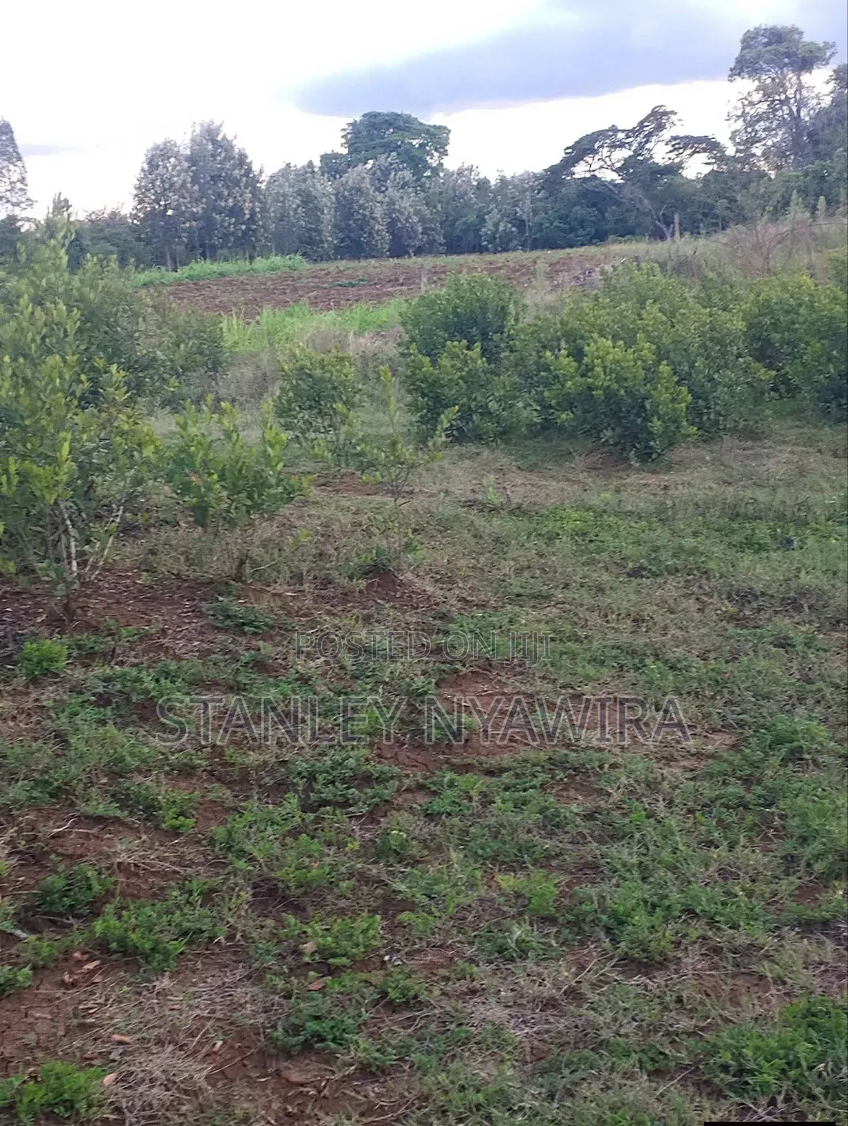 10 Acres Nanyuki Daiga Fronting River