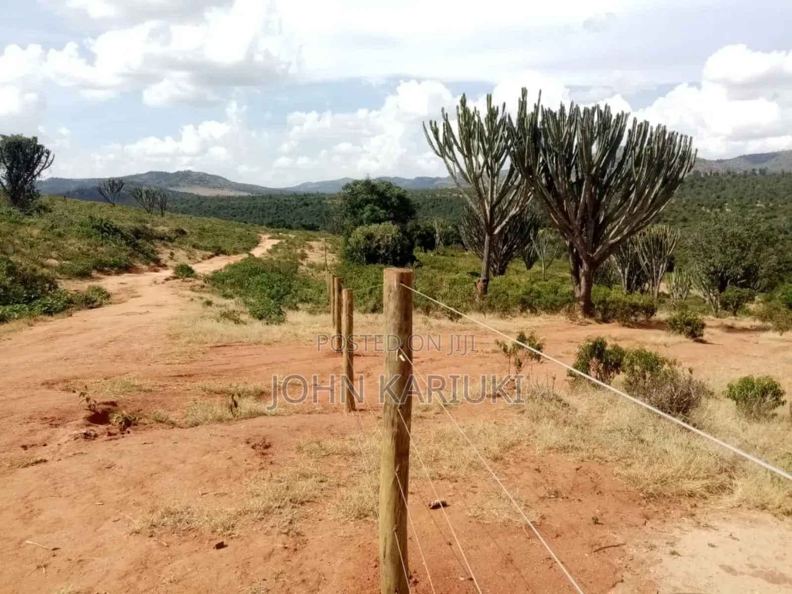 Land on Sale in Nanyuki Nabor 300 Acres With Ready Freehold Title Deed