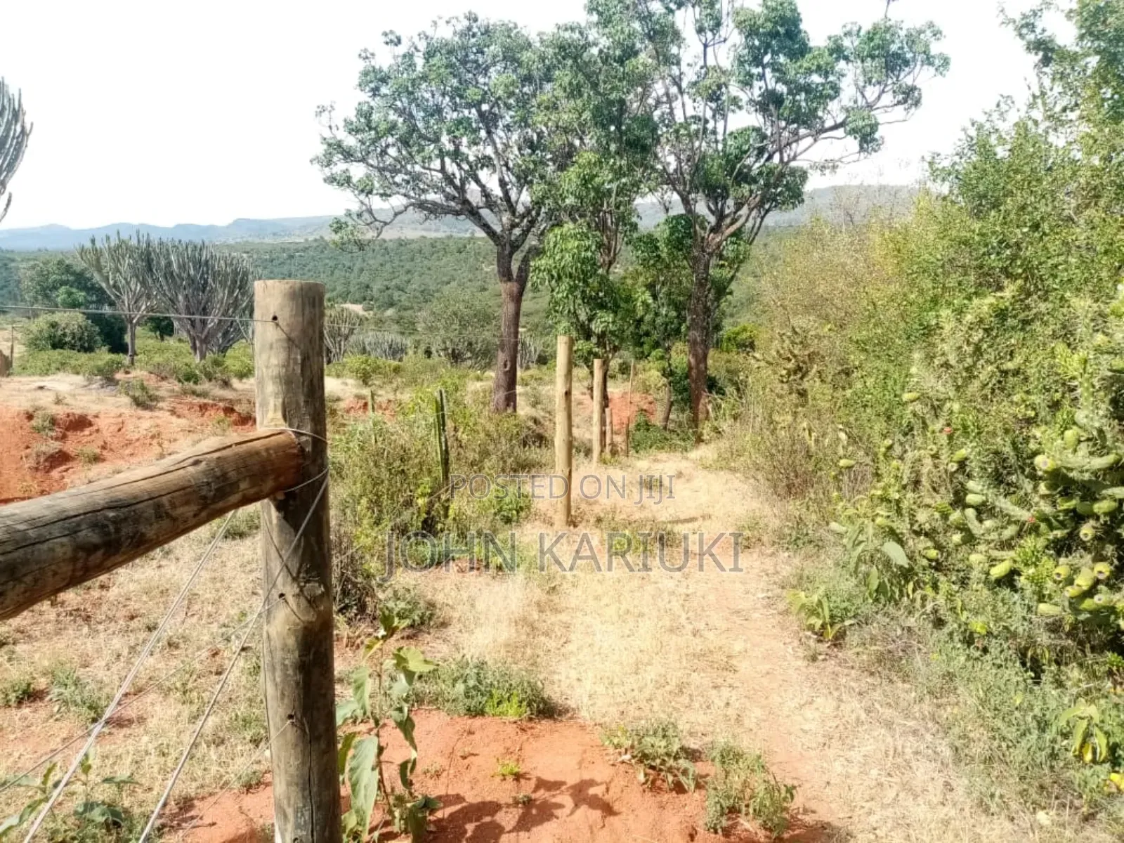 Land on Sale in Nanyuki Nabor 300 Acres With Ready Freehold Title Deed
