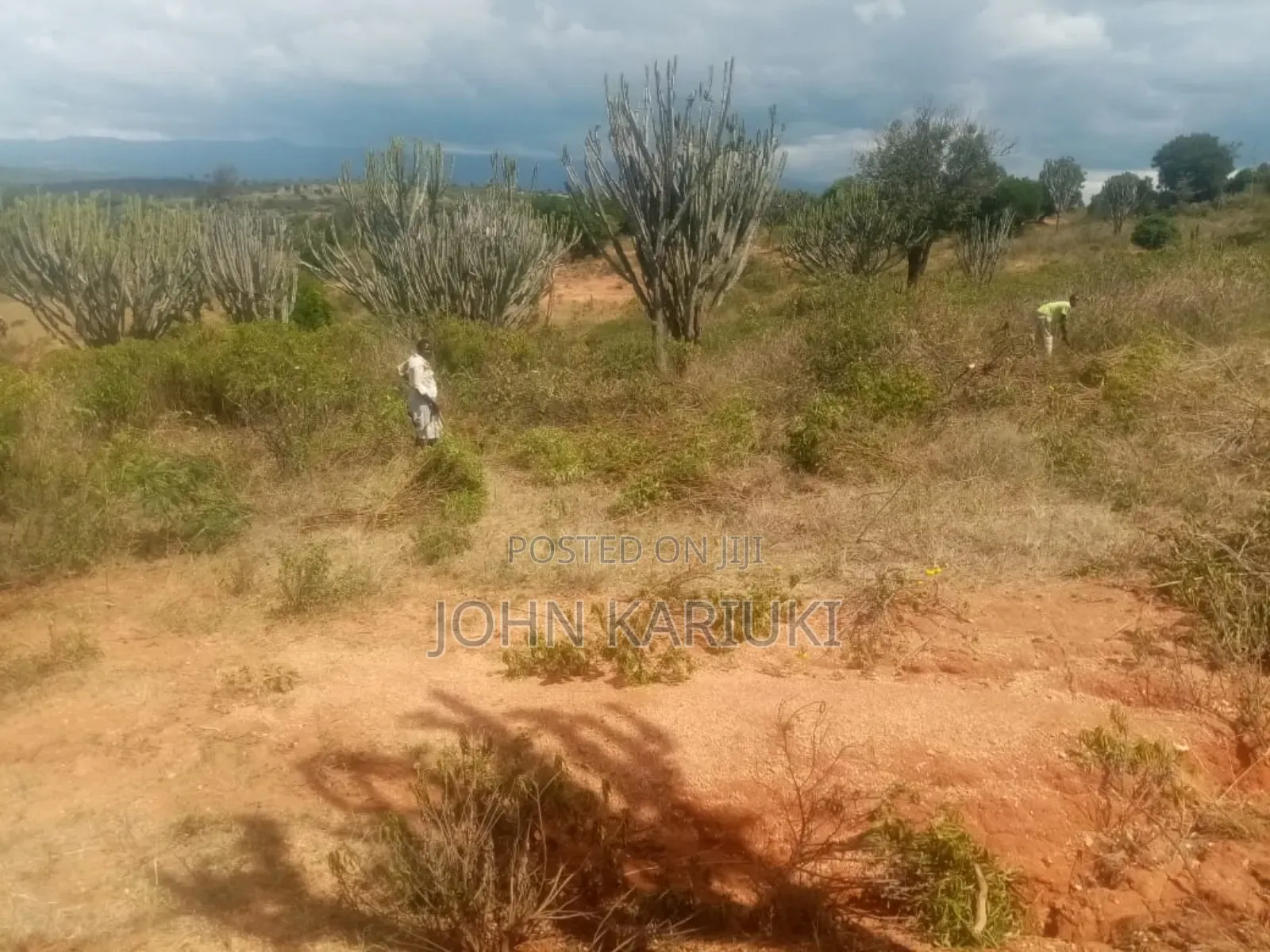 Land on Sale in Nanyuki Nabor 300 Acres With Ready Freehold Title Deed