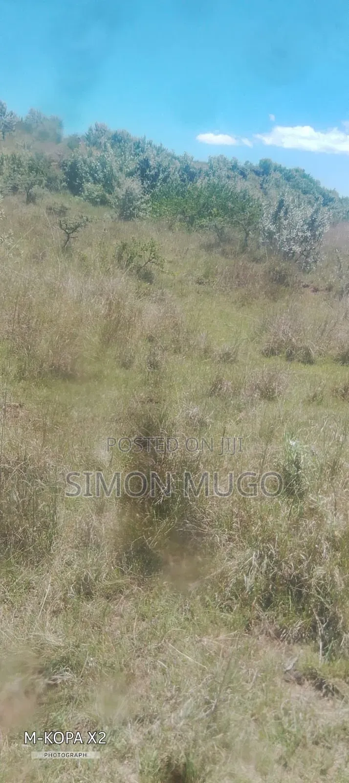 Olkalou Kaimbaga Prime Agricultural 50 Acres and 30 Acres